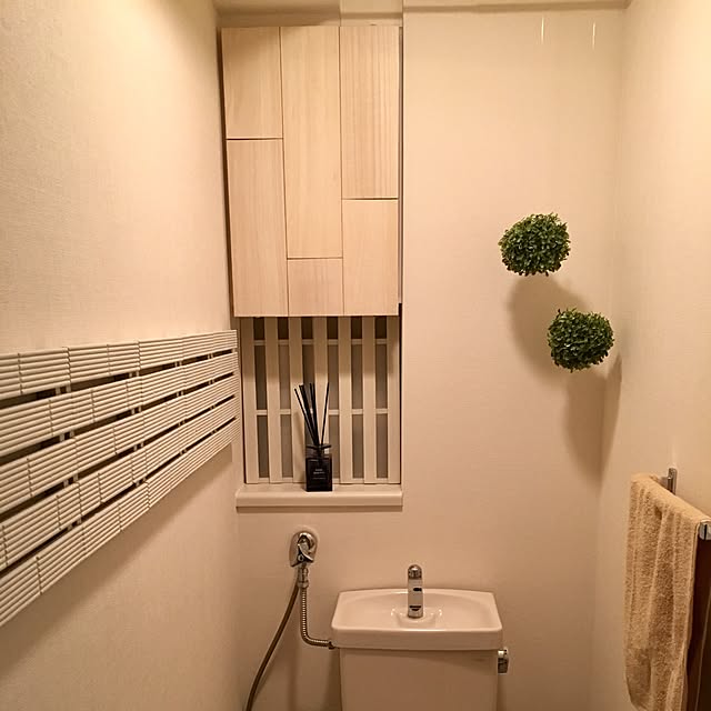 ayuさんの実例写真