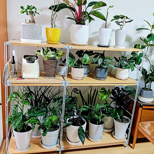 hanachanさんの部屋