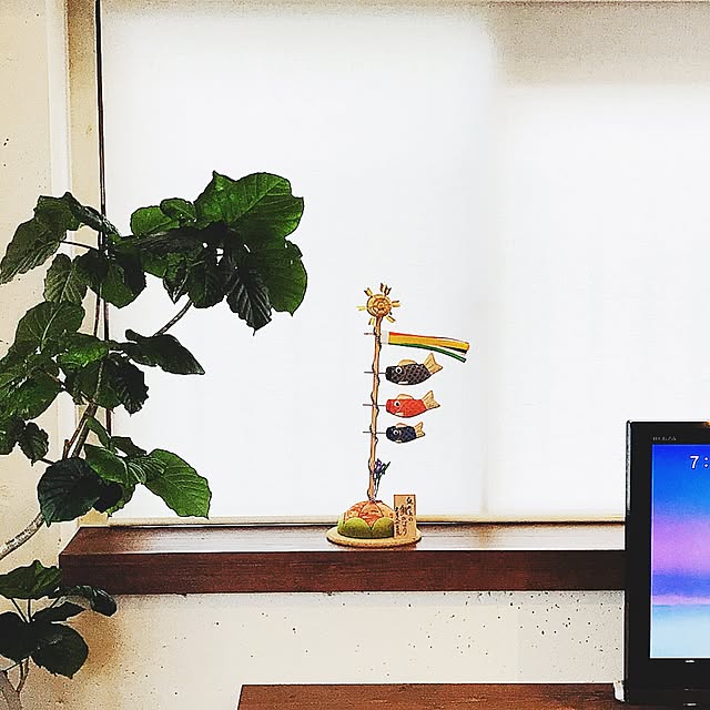 nochi_YTさんの実例写真