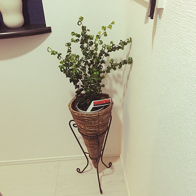 yoko2m.comさんの実例写真