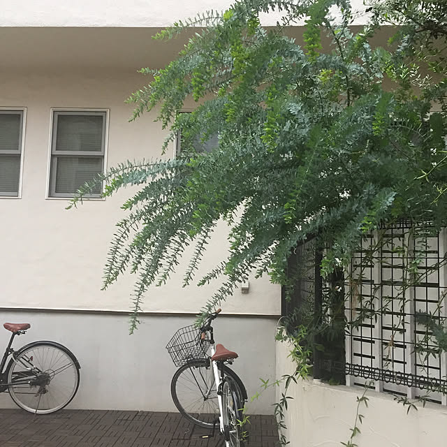 yupponさんの実例写真