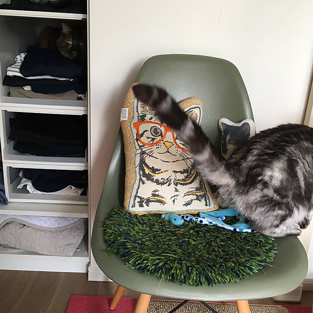 mikomaruさんの実例写真