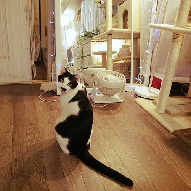 fu-ka24さんの実例写真