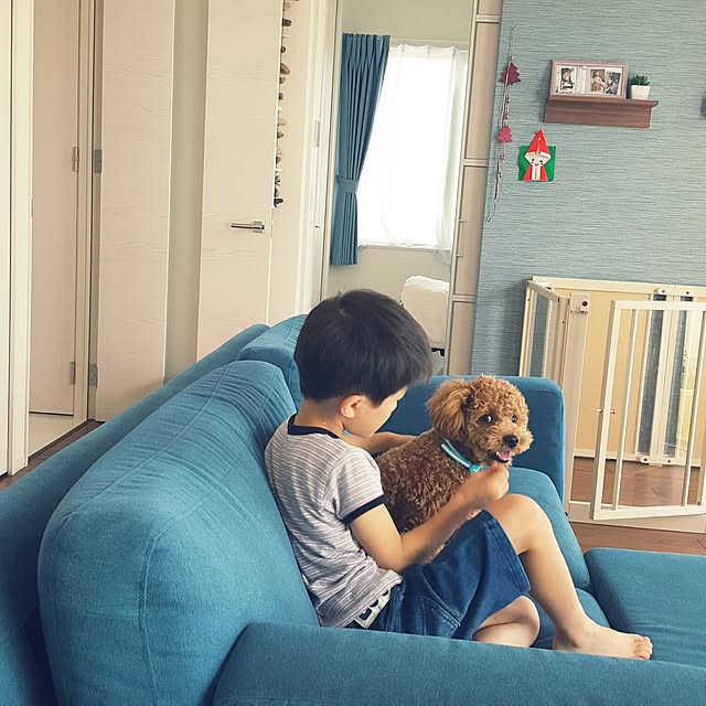 shojimonicaさんの実例写真