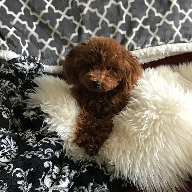 Karinさんの実例写真