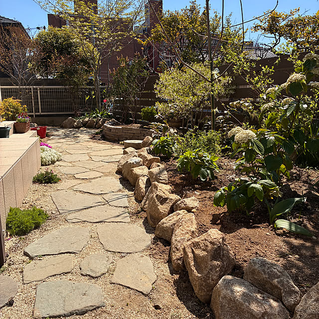 walking123さんの実例写真