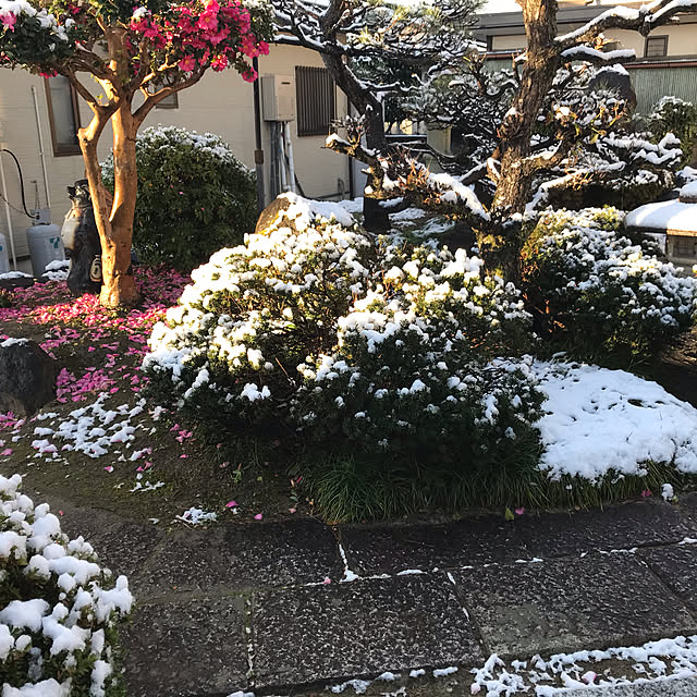 earthさんの実例写真