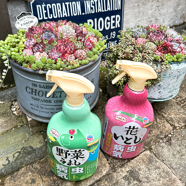 shhさんの実例写真