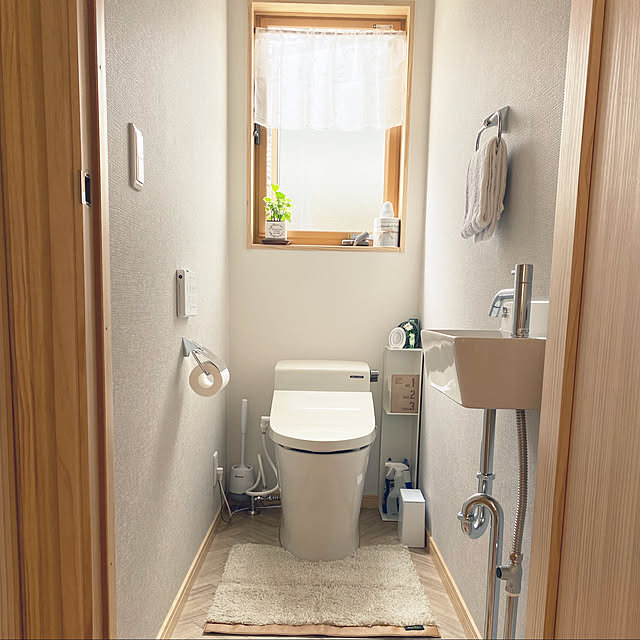 100均/観葉植物/バス/トイレのインテリア実例 - 2021-09-19 21:04:31