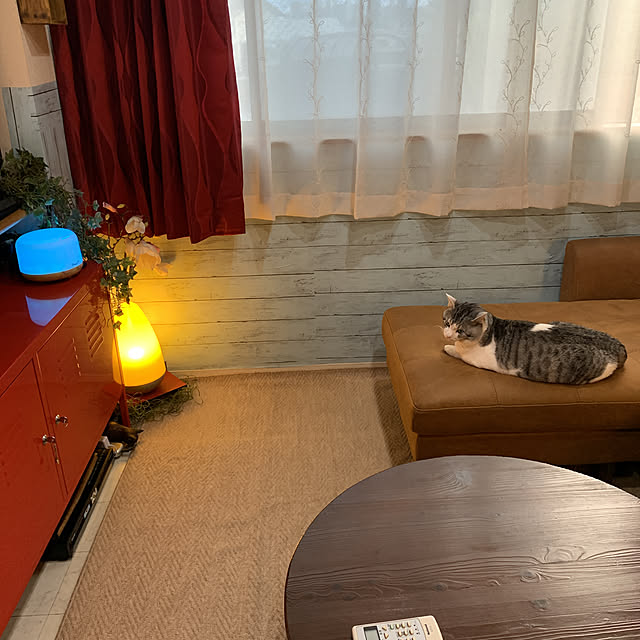Soraさんの実例写真