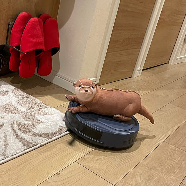 aureaさんの実例写真