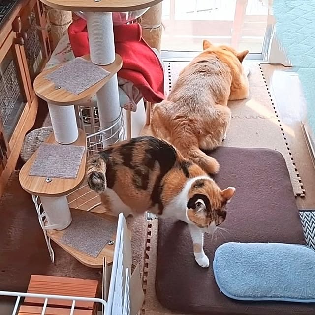 nanaさんの実例写真