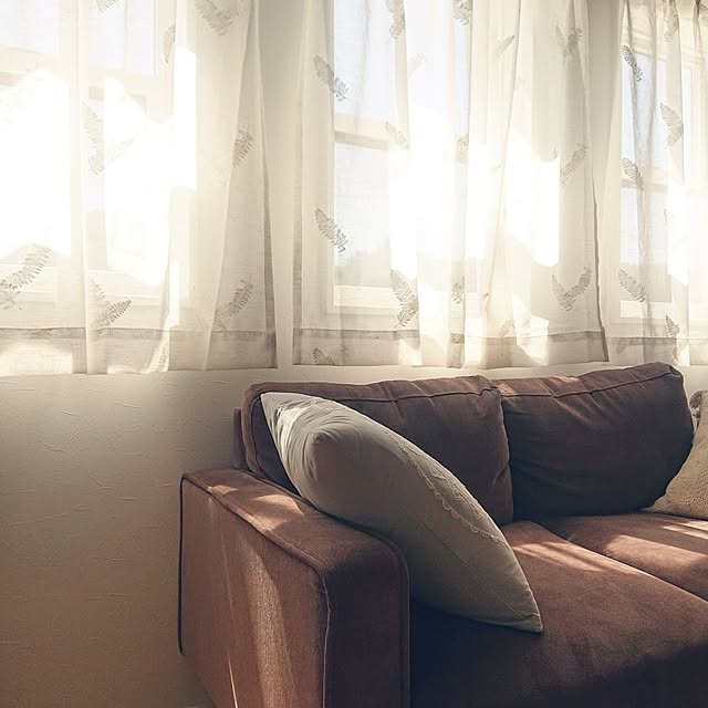misochanさんの実例写真
