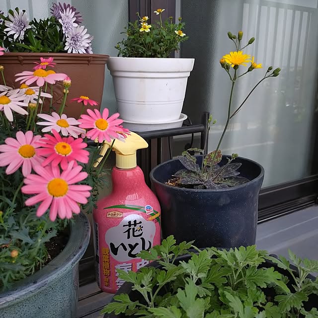 NOAHさんの部屋