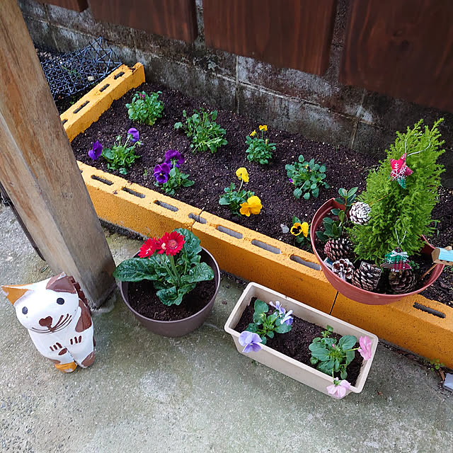 fukuさんの実例写真