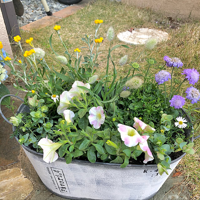 denさんの実例写真