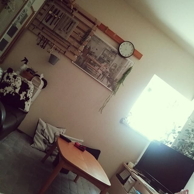 Yukariさんの実例写真