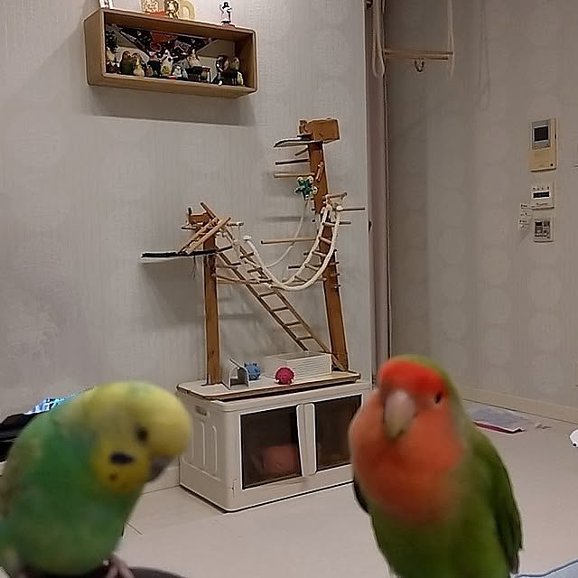 toratanさんの実例写真