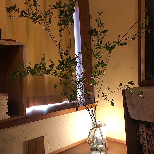 iomaruさんの実例写真