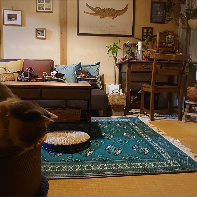fukuさんの部屋