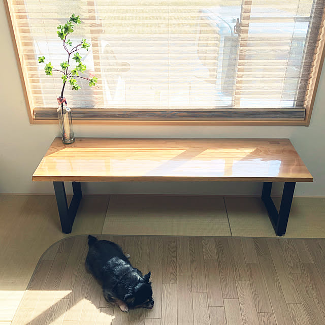 MAYUさんの実例写真