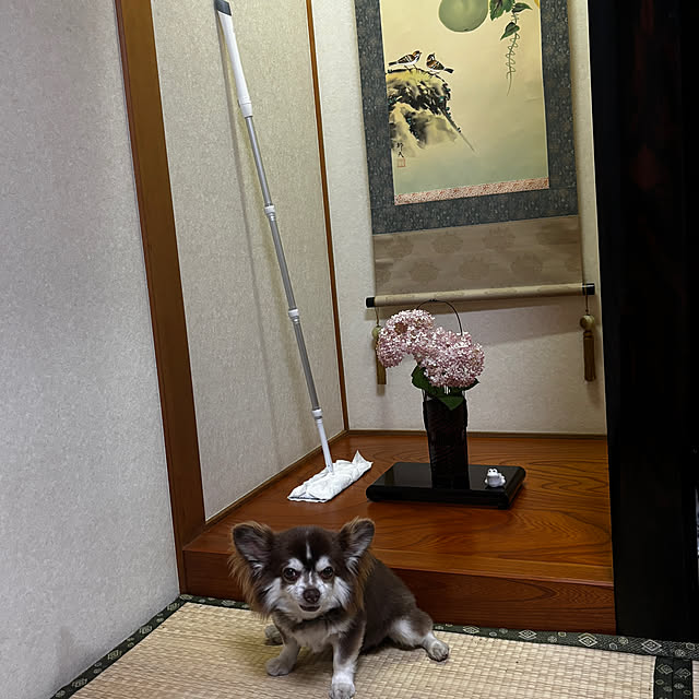 chIoeさんの部屋