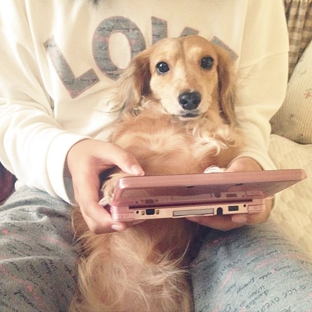 Atelier.mさんの実例写真