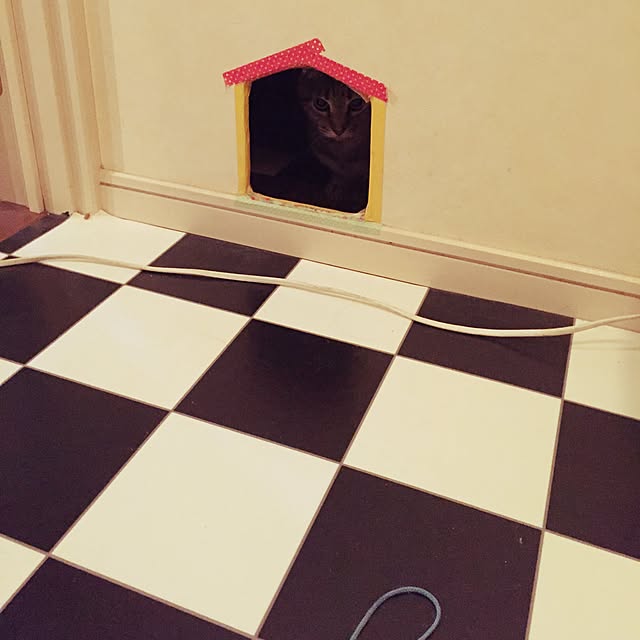 bowbowcoさんの実例写真