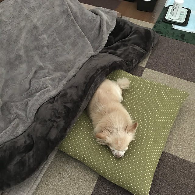 MIUさんの実例写真