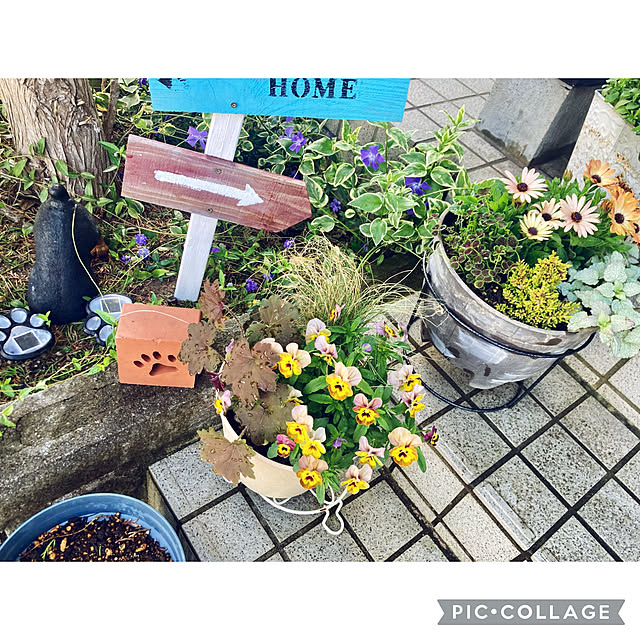 CoCo0617さんの部屋