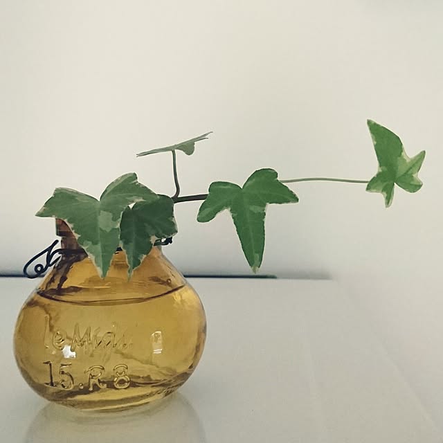 kukoさんの実例写真