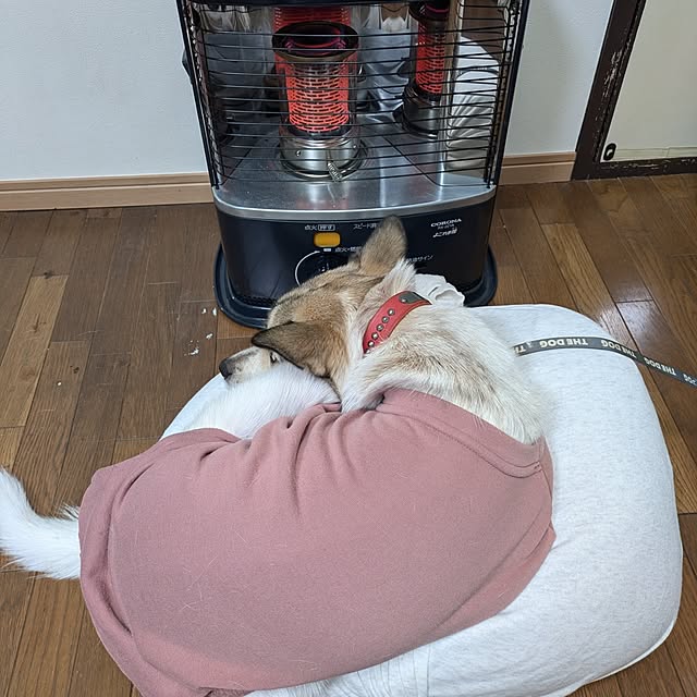 asaさんの部屋