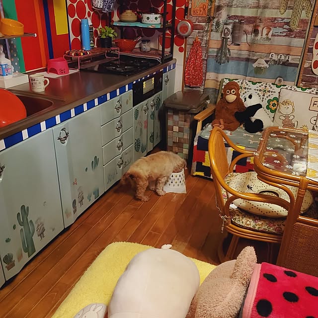 kumutanさんの部屋