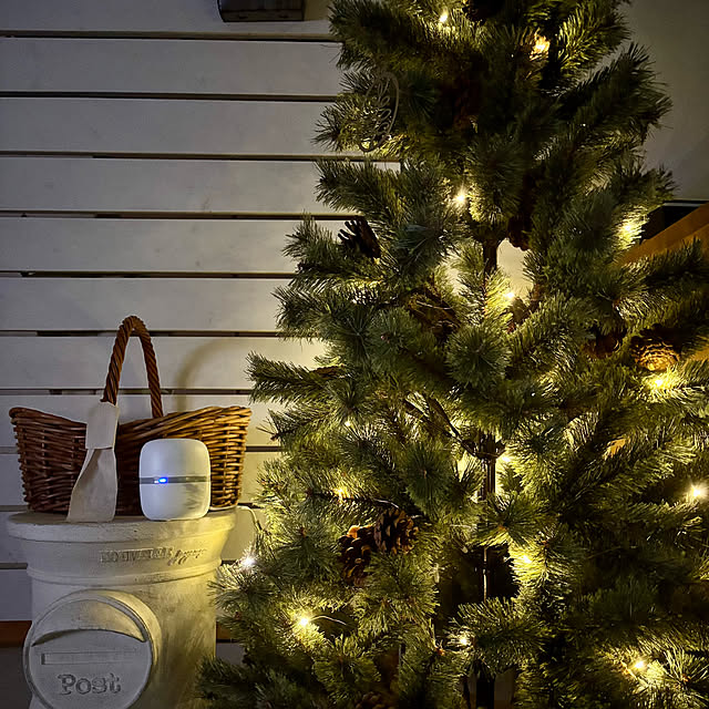 chachamamaさんの実例写真