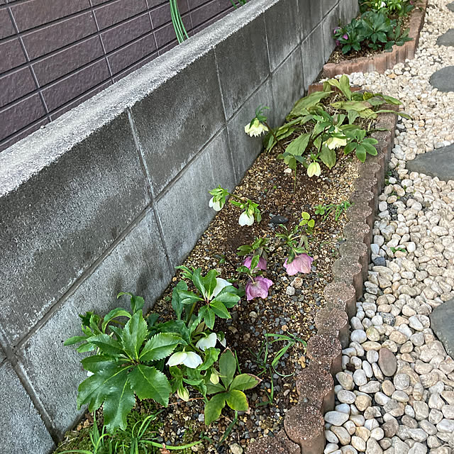 mamaさんの部屋