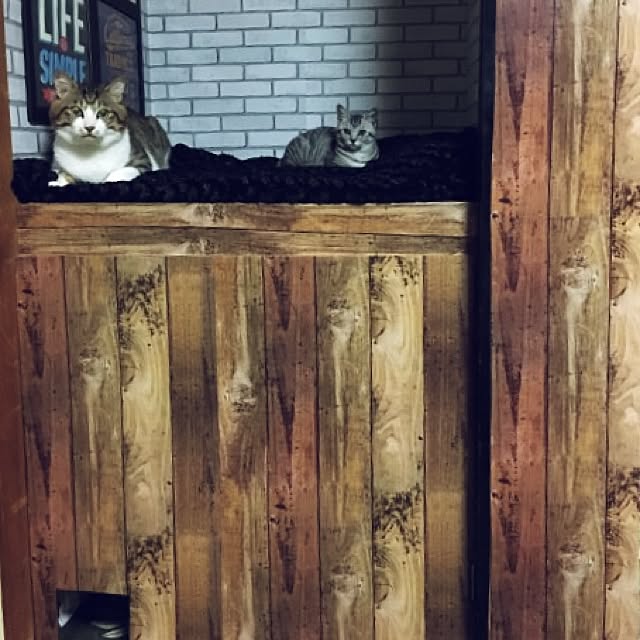 RANIさんの実例写真