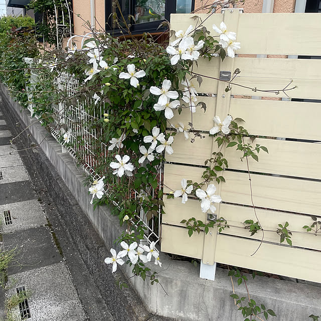 Ma-saさんの部屋