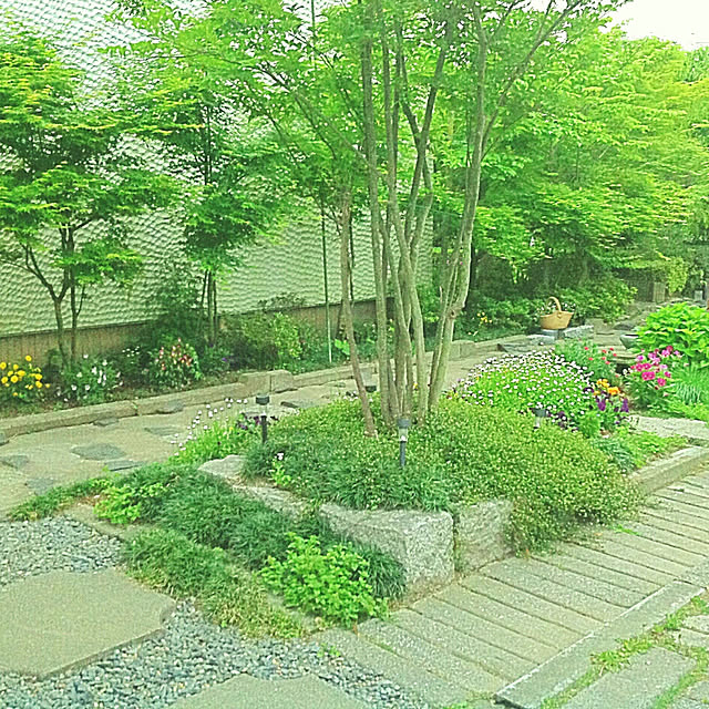marrymisuzuさんの実例写真