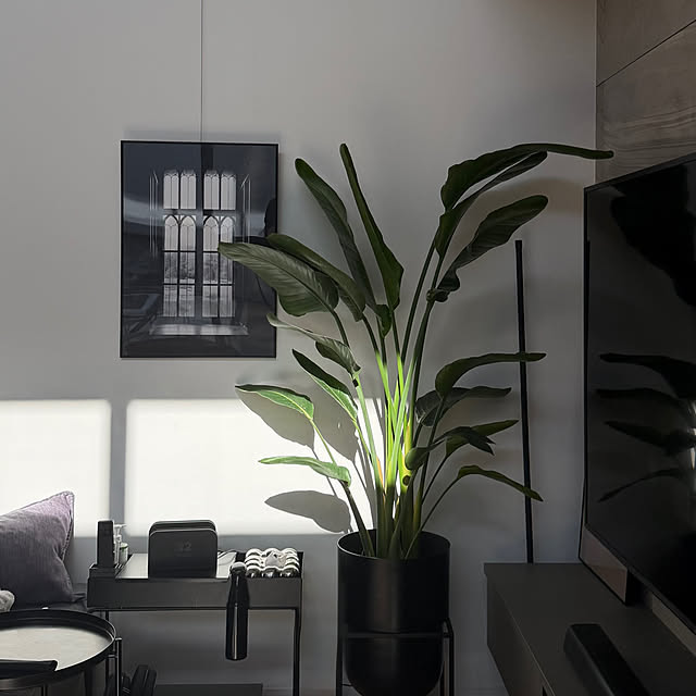 Daifukgramさんの実例写真