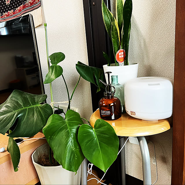 収納アイデア/賃貸でも楽しく♪/休日の過ごし方/観葉植物/ナチュラル...などのインテリア実例 - 2023-01-14 14:16:12