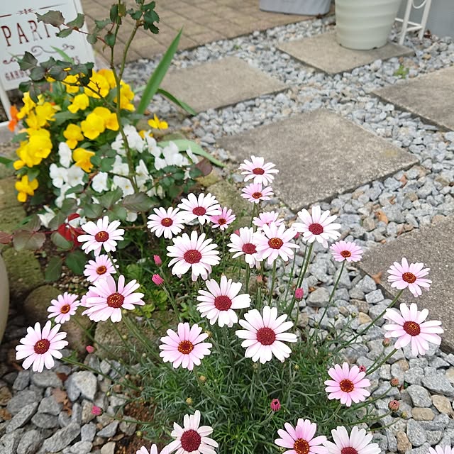 fleur-mamanさんの部屋