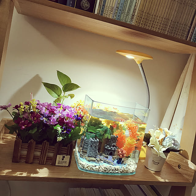 DIY/リビングのインテリア実例 - 2020-05-23 22:58:32