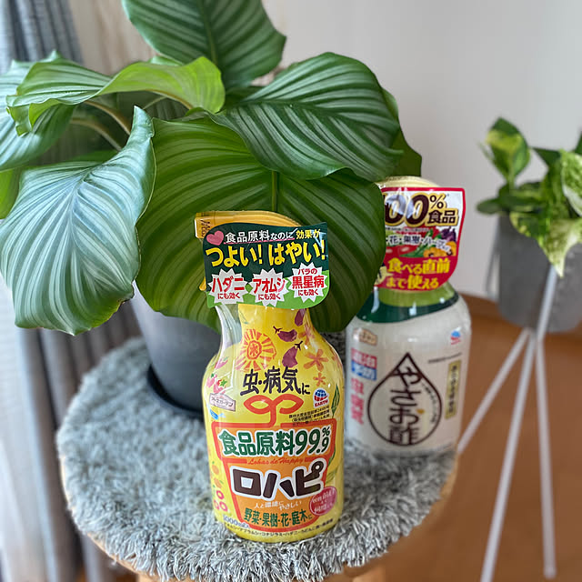 HelloKitchenさんの実例写真