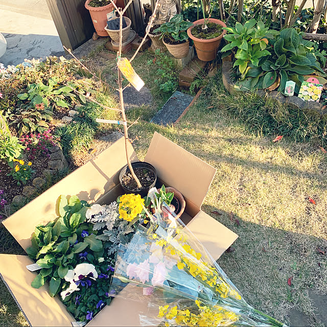 KYONさんの実例写真