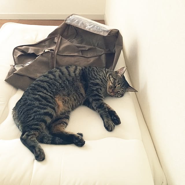 komugiさんの実例写真