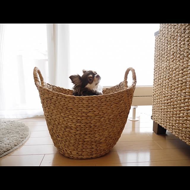 emibeiさんの実例写真