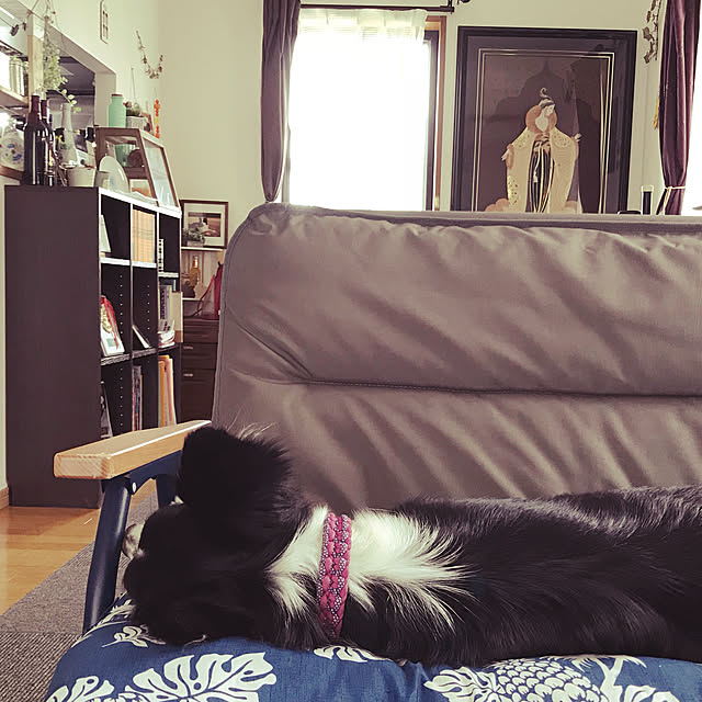 Caoluさんの実例写真