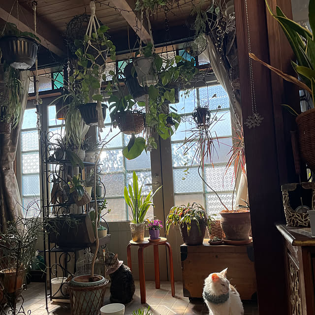 shigimiさんの実例写真