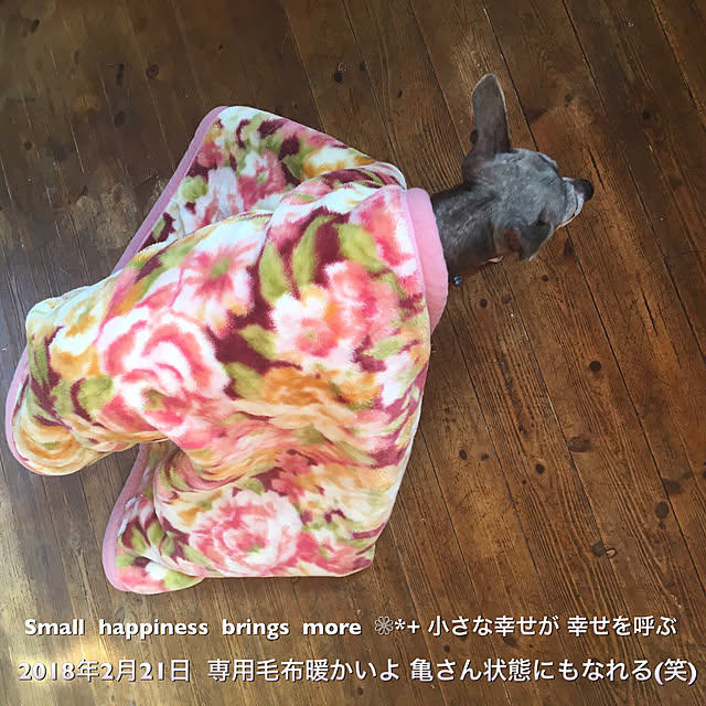 20rose_mamiさんの実例写真