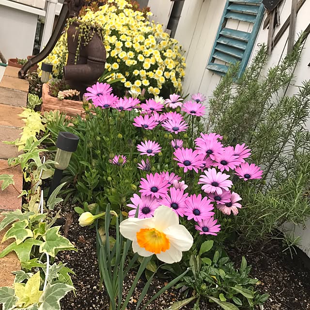 c.roomさんの実例写真